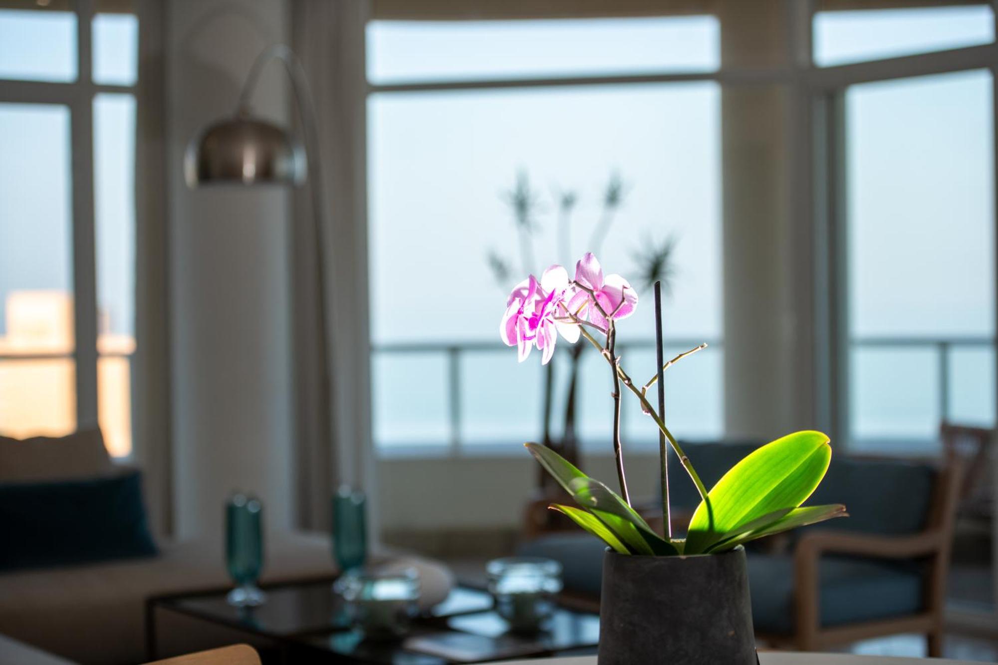 801 Oyster Schelles - By Stay In Umhlanga Durban Esterno foto